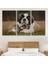 Dekoratif Kanvas Tablo, Duvar Dekoru, Yavru Kediler ve St Bernard Köpek, Hayvan Temalı 1124 BUNGKNV 3