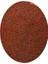Lepistes-Melek-Plati-Moli Balığı granül Yemi 20X125 ml Tropikal Mix Selection 3