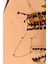 Yoncalı Altın Kolye CGKKLY139 1