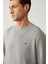 Erkek Gri Bisiklet Yaka Baskılı Soft Touch Sweatshirt A41Y1224 2