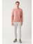 Erkek Pembe Sweatshirt Bisiklet Yaka 3 Iplik Şardonlu Flok Baskılı Regular Fit A32y1273 6