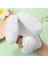 Vıvo X100 Için Kılıf Ultra 5g Tavşan Furprotection Plushcase Güzel Sonbahar (Yurt Dışından) 5