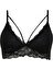 Fall in Love Dantelli Bra R6569AZ24AU 1