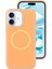 Apple iPhone 16 Plus Telefon Kılıfı (Yurt Dışından) 1