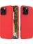 Apple iPhone 16 Pro Telefon Kılıfı (Yurt Dışından) 1