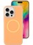 Apple iPhone 16 Pro Telefon Kılıfı (Yurt Dışından) 1