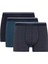 Regular Fit 3'lü Boxer D2314AX24AU 1
