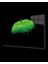 Teknoo- Yeşil Elma Cam Tablo Green Apple 1