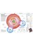 Knowledge Encyclopedia Science 3