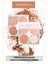 Contour Palette 4'lü Kontür Paleti 2
