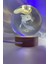3D LED Işık Cam Küre Tek Renk Gece Lambası Axolotl Mucizevi Yenilenme 8 cm Mega Boy 2