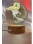 3D LED Işık Cam Küre Tek Renk Gece Lambası Axolotl Mucizevi Yenilenme 8 cm Mega Boy 3