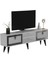 Lidyadh Tv Stand Beyaz-Gümüş 5