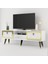 Demonte Home Mobilya Lidyadh Tv Stand Beyaz-Altın 5