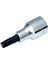 1/4 Lokmalı Star Torx Uç T30 1
