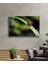 Teknoo- Uğur Böceği Yeşil Yaprak Cam Tablo 2