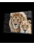 Teknoo- Aslan Cam Tablo 1