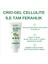 Aloe Crio-Gel Cellulite + Youth Passport Portakal & Peeling Duş Jeli Set | Canlandırıcı ve Selülıt Karşıtı Bakım Seti 3