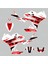 Honda CBR 250 R Eski Kasa RR Lines Design Sticker Set Beyaz-Kırmızı-Siyah 2