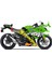 Kawasaki Ninja 300 Rossi Shark Design Yeşil 1