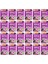 Yavru Kümes Hayvanlı 85 gr 24X 2