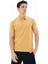 Erkek %95 Pamuk Polo Yaka Regular Fit T-shirt Y25374302501 3