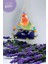 Ozzi Petshop Kuş Salıncağı Yatak +Supriz Hediye 1
