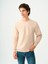 Regular Fit Erkek Sweatshirt 1