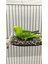 Ozzi Petshop Kuş Yastığı , Kuş Hamağı , Sıcak Uyku Evi Kuş Oyuncağı 3