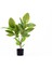 Yapay Ficus Altissima Ağacı Yeşil 90 cm 1
