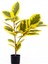 Yapay Ficus Altissima Ağacı Sarı Yeşil 90 cm 1