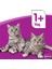 Ton Balıklı 85 gr 24X 4