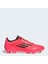 F50 League Fg/mg 1