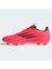F50 League Fg/mg 2