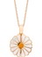 Daisy Kolye 718923 Rose 1