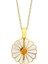 Daisy Kolye 718923 Gold 1