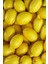 5 Adet - Tüplü Yediveren Aşılı Limon Ağacı Fidanı 3 Yaş 4