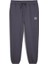 Classics Small Logo Fl Eşofman Altı Gri 53559791 Erkek 1
