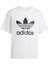 Originals IR9534 Trefoil Regular Tee 3