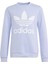 Originals IN8428 Trefoil Crew Sweatshirt 4