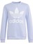 Originals IN8428 Trefoil Crew Sweatshirt 1