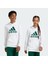 Adidas Sportswear IV7325 Big Logo Essentials Cotton Hoodie 1