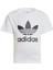 Adidas Originals JE0518 Adicolor Trefoil Tee Kids 3