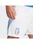Performance IQ0494 Italy 24 Home Shorts 4