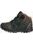 Terrex IF7509 Terrex Boa Mid Raın.rdy Hiking Shoes 1