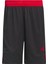 Performance DY6596 3G SPEED REVERSIBLE SHORTS 3
