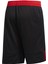 Performance DY6596 3G SPEED REVERSIBLE SHORTS 2