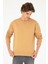 U.S. Polo Assn. Erkek Camel Sweatshirt 50295148-VR015 3