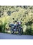 Rc5 125Cc Cg 1