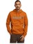 TIMBERLANDTB0A5UKKLINEARLOGOHOODIEERKEKSWEATSHIRT 1